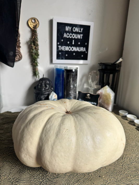 prosperity group working - money + blessings (November - 10 Slots Available)