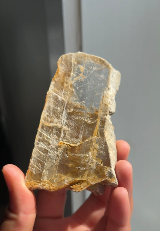 Garden Selenite Specimen