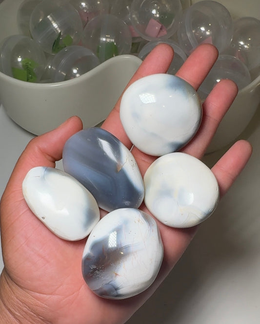 Orca Agate Palmstone