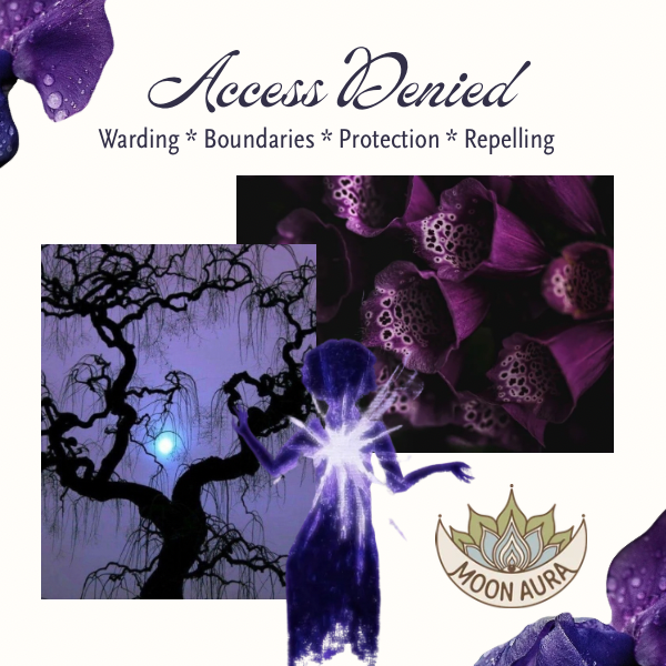Access Denied (Ward Your Name + Energy)