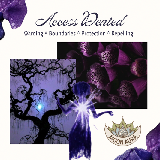 Access Denied (Ward Your Name + Energy)