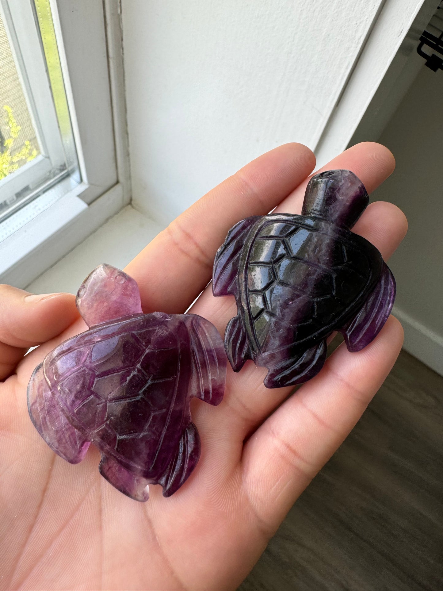 Purple Fluorite Sea Turtle