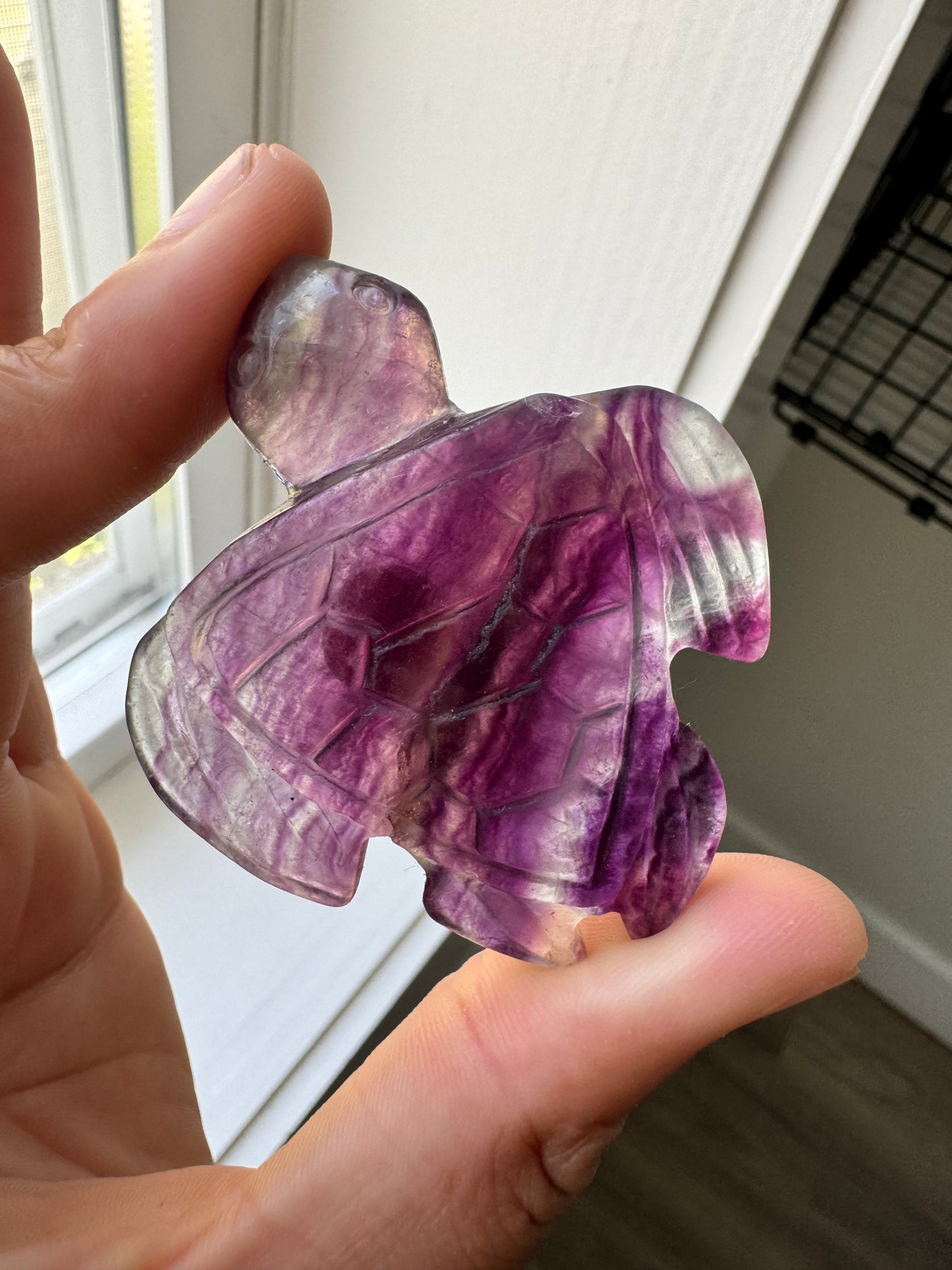 Purple Fluorite Sea Turtle