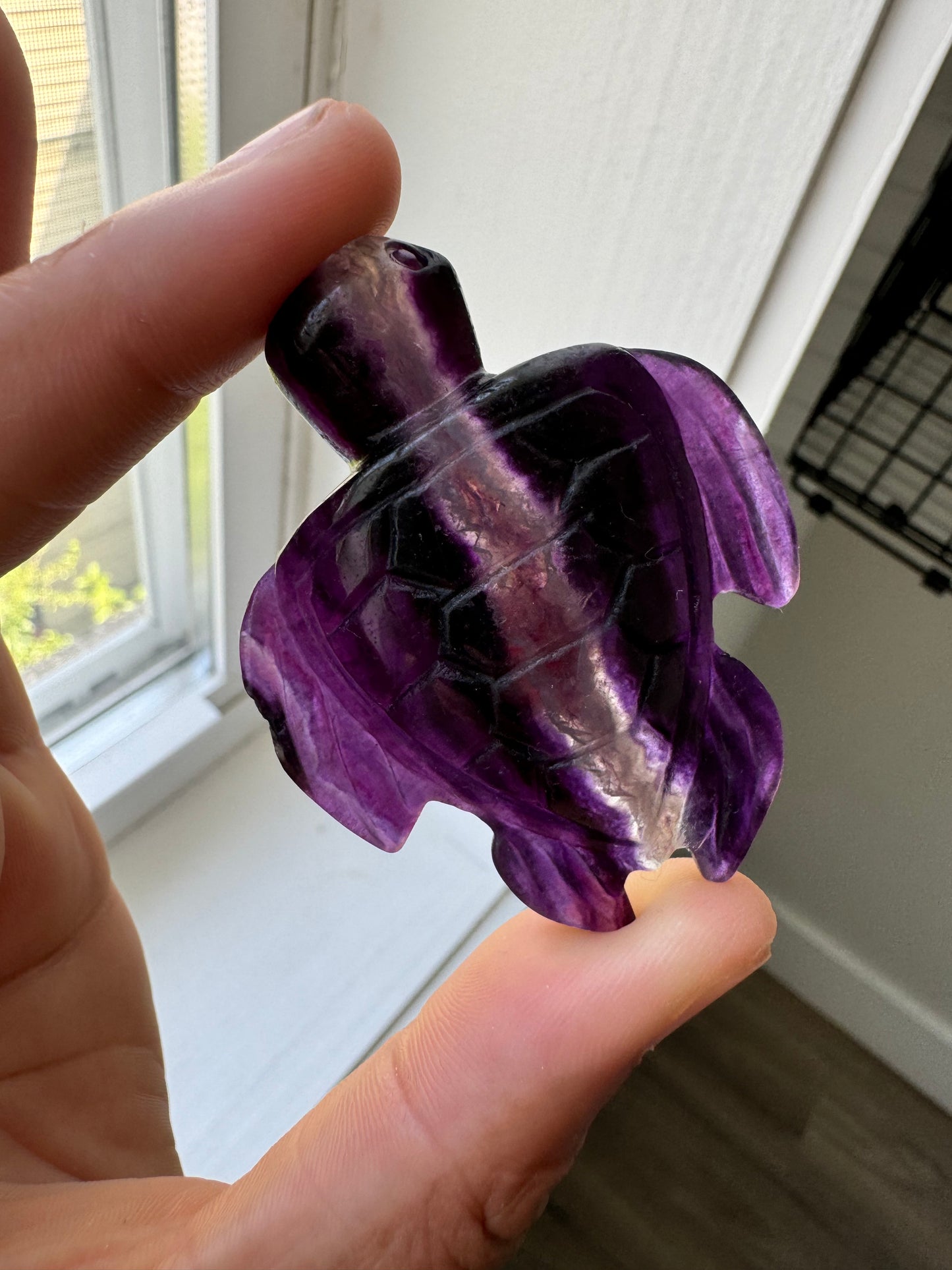 Purple Fluorite Sea Turtle