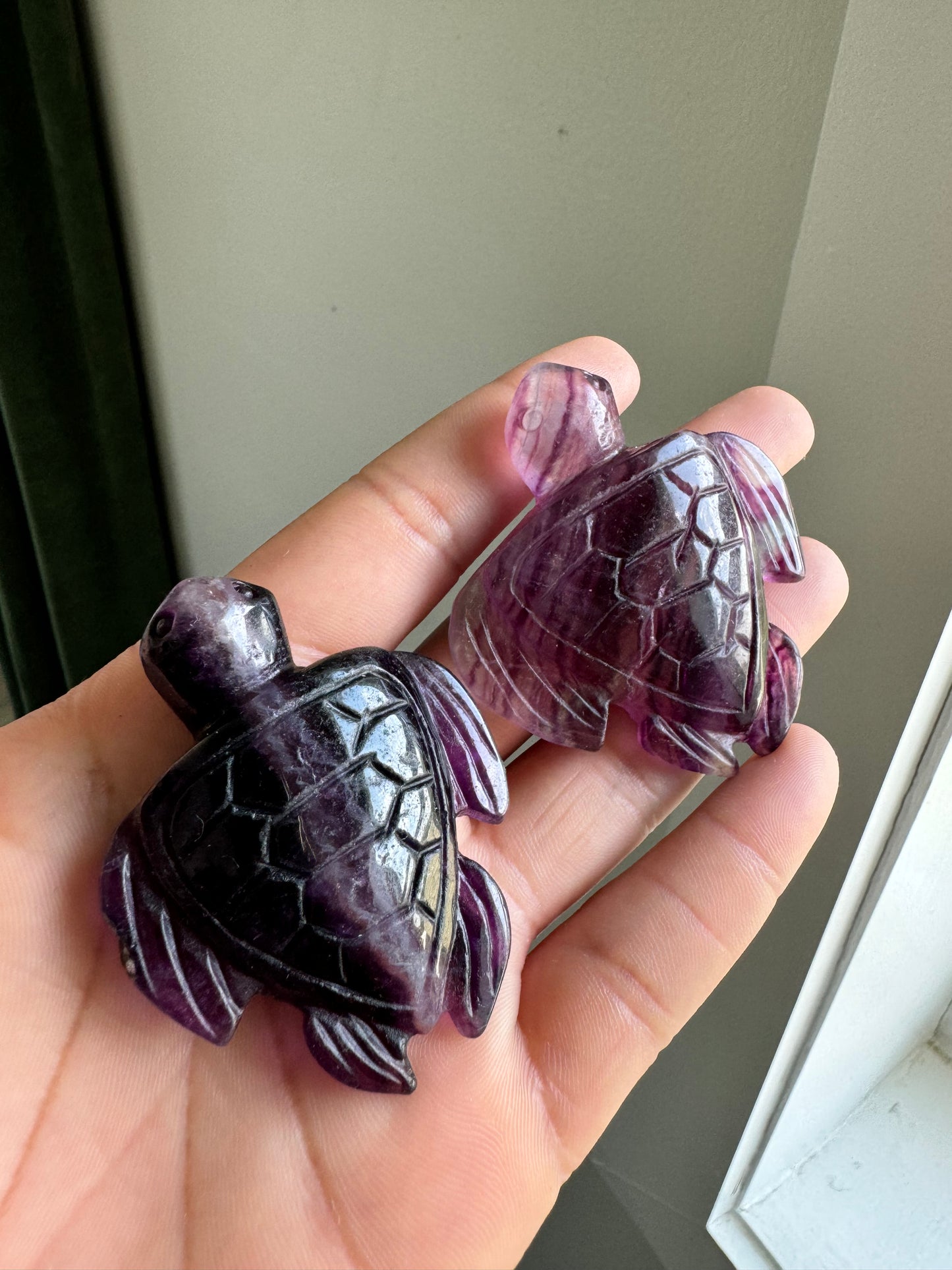 Purple Fluorite Sea Turtle