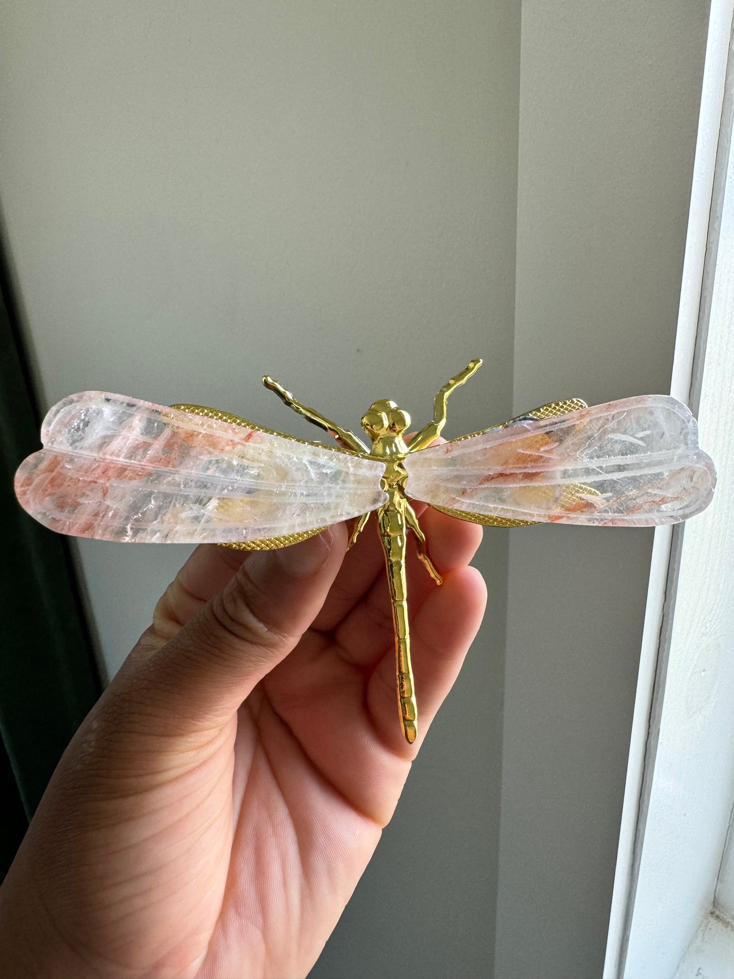 Golden Healer Dragonfly