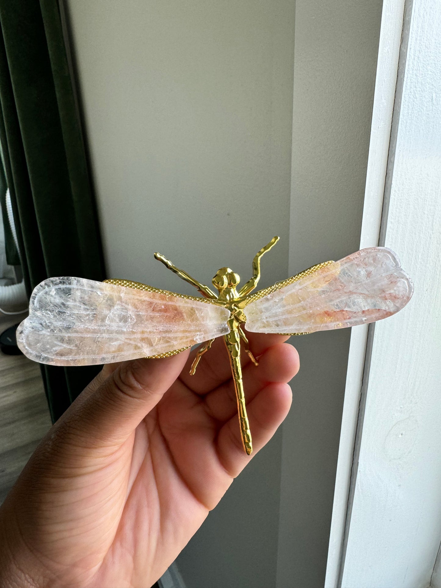 Golden Healer Dragonfly