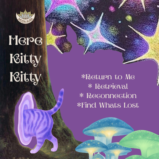 Here Kitty Kitty (Return to Me)